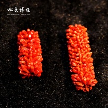 松泉博雅 红珊瑚沙丁